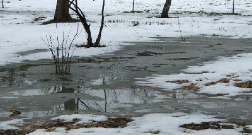 В Волгограде снова ожидается оттепель