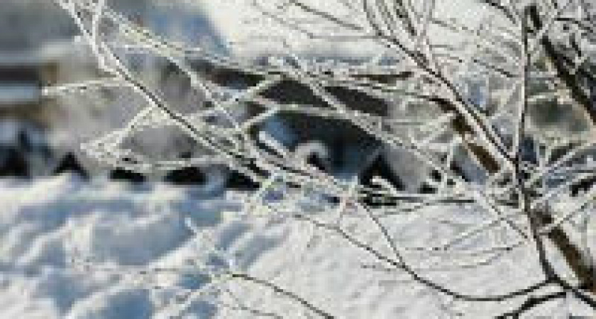 В Волгоград снова идут морозы