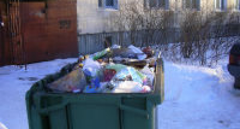 В Волгограде в мусорном баке нашли останки девушки