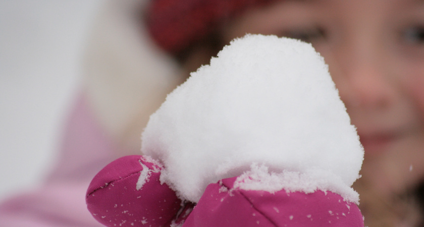 Волгоградцы отметят День снега спортивным праздником