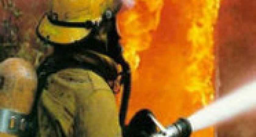 В Волжском на пожаре погибла 78-летняя женщина