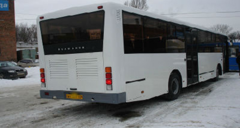 Под Волгоградом автобус на остановке сбил женщину