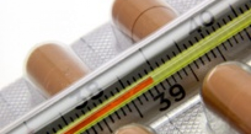 В Волгограде четыре человека умерли от гриппа