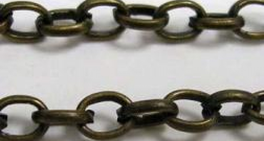 В Волгограде работника  держали на цепи