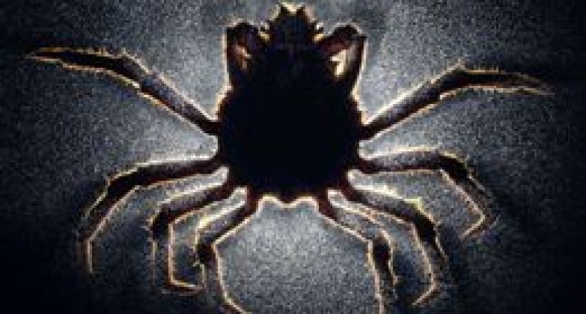 В Волгограде от вредителей обработают лес