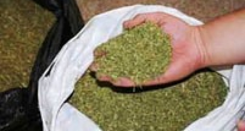 В Волгограде открыто торговали марихуаной