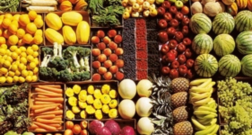 Волгоградская область – вторая по овощеводству в стране