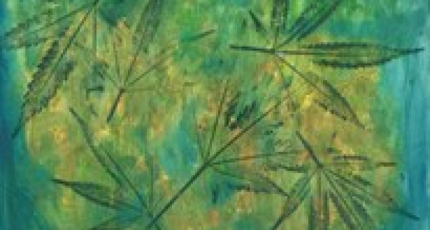 В Волгограде закрыли сайты с инструкциями по выращиванию конопли