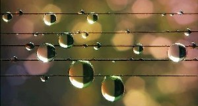 Аномальная погода в Волгограде