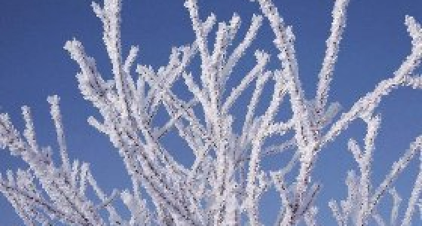 День памяти Максима Грека