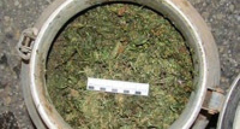 Под Волгоградом пойманы наркодиллеры