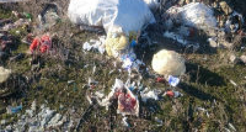 В Волгограде бытовые и медицинские отходы сливают в яму