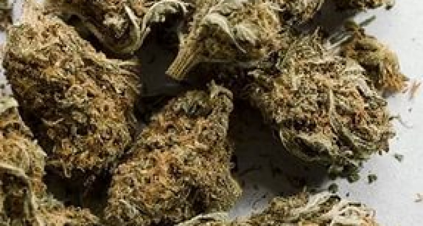 В Волгограде предприимчивый наркоторговец «отмывал» деньги с продажи марихуаны 