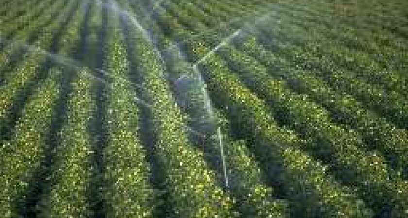 В Волгоградской области возрастет количество орошаемых земель