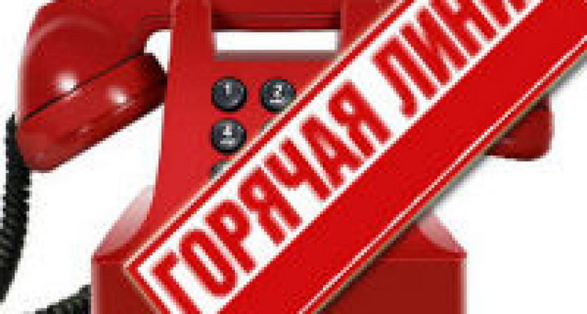 Выпускники Волгограда смогут задать вопросы о ЕГЭ  по «горячей линии» 