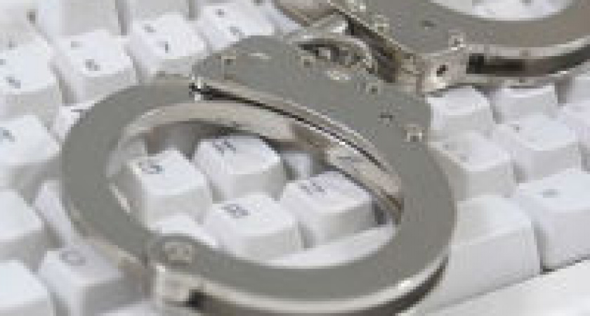 Жителя Волгоградской области осудили за распространение экстремистских статей в соцсетях    