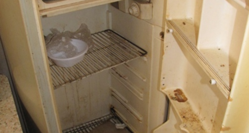 Под Волгоградом в детсаду «Сказка» детей кормили продуктами их грязного холодильника