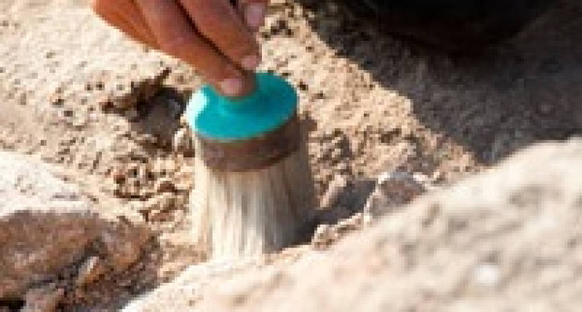 В центре Волгограда нашли человеческие останки