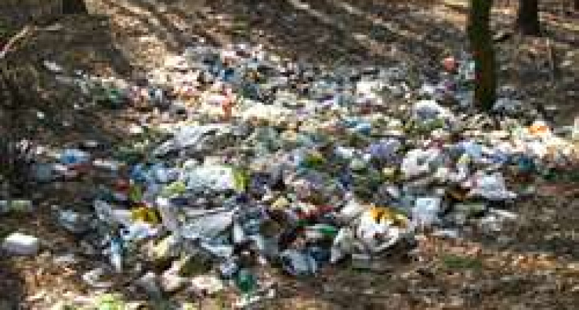 Под Волгоградом парк «Донской» очистили от мусора