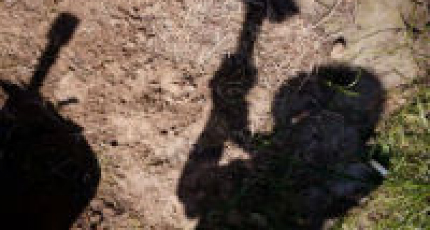 Под  Волгоградом восстановят памятник Косыгину