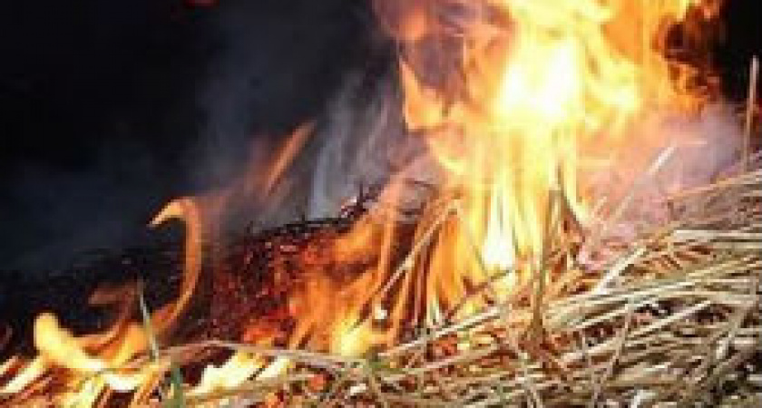 Под Волгоградом в сеннике сгорела 1 тонна сена