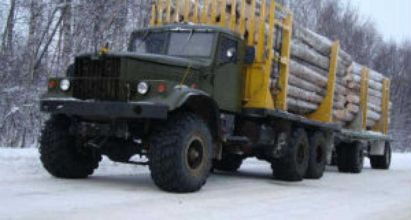 В Волгограде и области пройдет операция «Лесовоз»