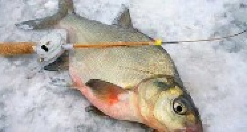 Под Волгоградом супруги провалились под лед