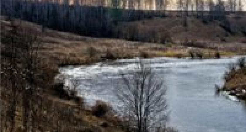 В Волгограде на берегу нашли тело зарезанного мужчины