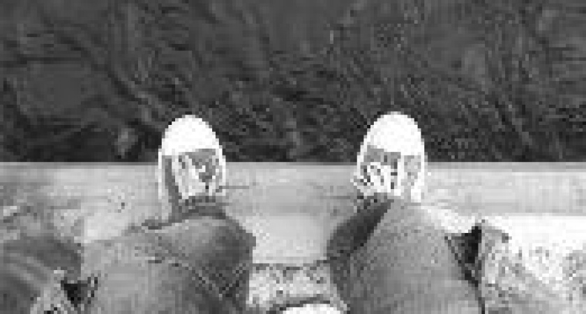 На севере Волгограда выбросилась из окна 17-летняя школьница