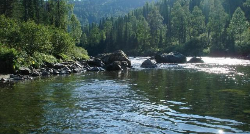 Международный день рек