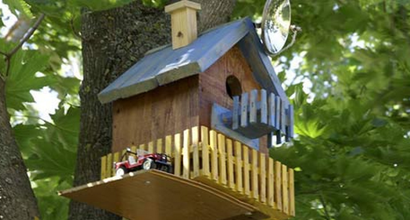 В Волгоградской области стартовала акция «Скворечник»