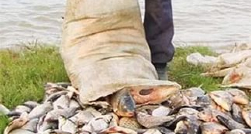 Двум жителям области грозит арест за браконьерство