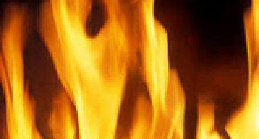 В Новониколаевске в своем доме заживо сгорела пенсионерка