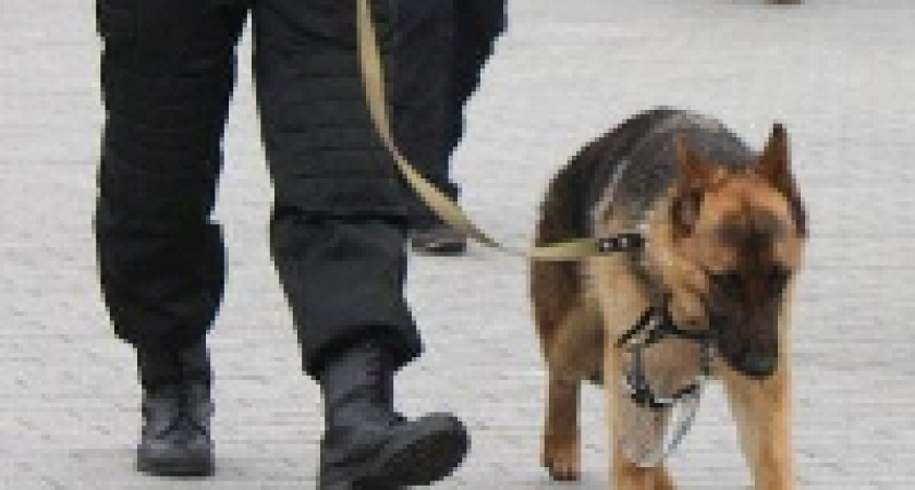 В Волгограде в офис займов подбросили подозрительный пакет с проводами