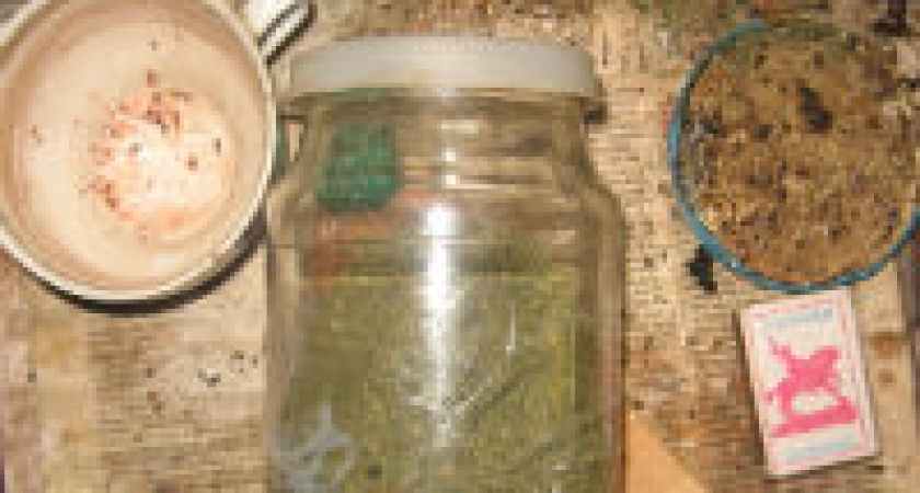 Под Волгоградом задержали 51-летнего селянина за хранение марихуаны