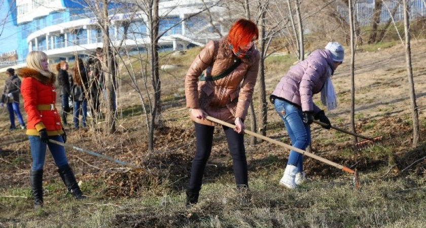 Волгоградцев приглашают на первый весенний субботник