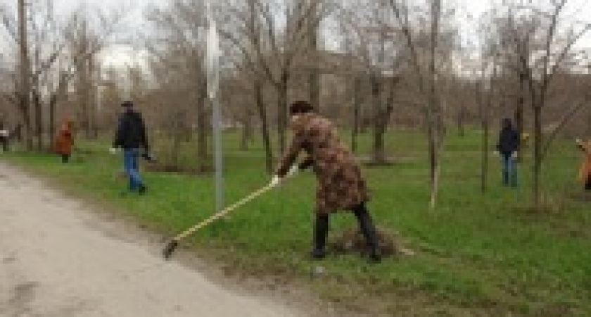 В Волгограде прошел первый день чистоты и благоустройства