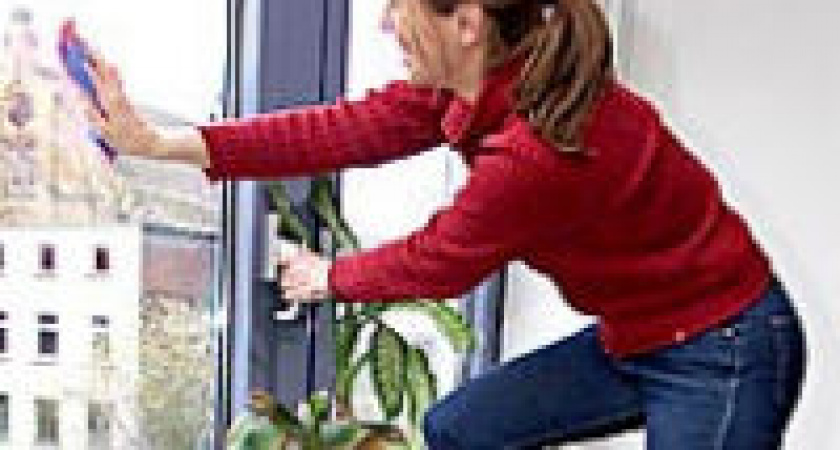 Никонов день