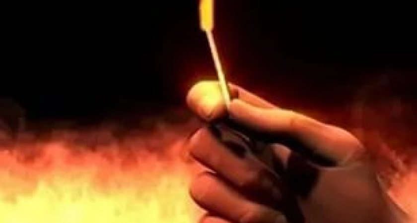 Под Волгоградом женщина сожгла автомобиль