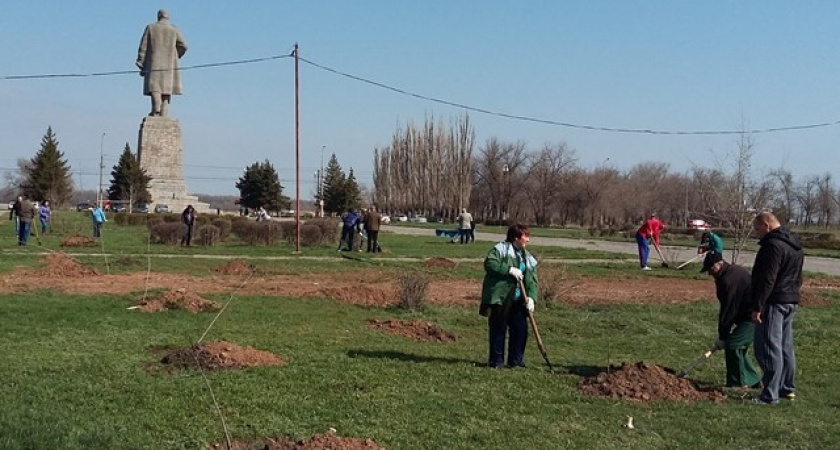 На юге Волгограда прошел общегородской субботник