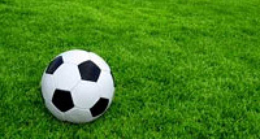 Озвучены даты проведения матчей ЧМ-2018 на «Волгоград Арене»