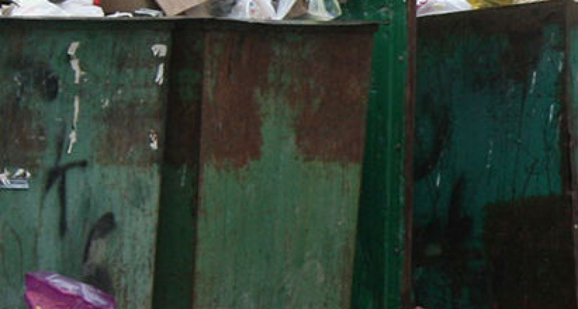 В Волжском дворник обнаружил в мусорном баке останки женщины