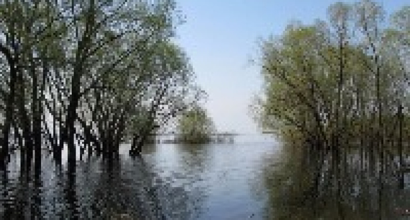  В Волгоград пришла большая вода