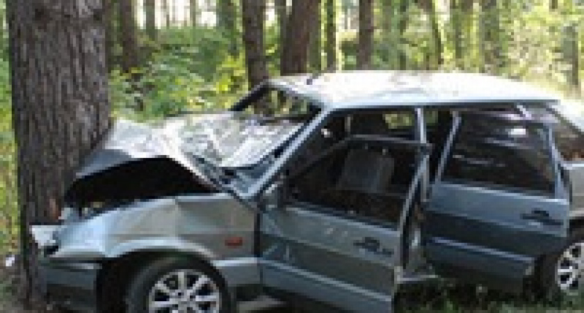 Под Волгоградом автомобиль влетел в дерево