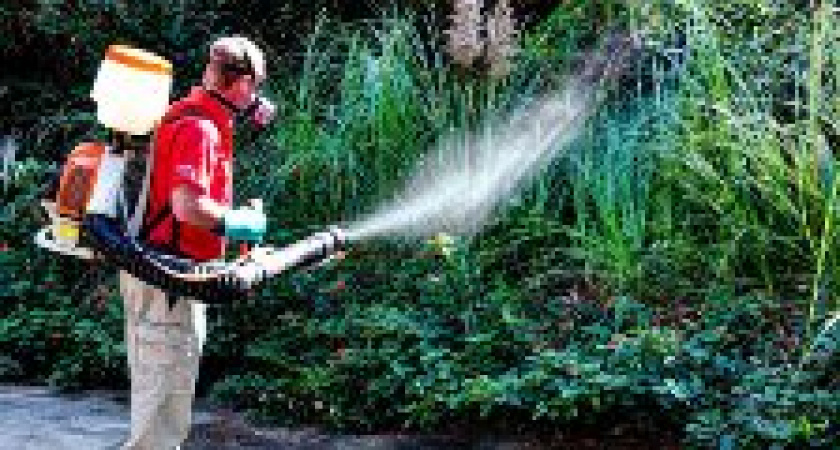 В Волгоградской области на уничтожение комаров и клещей потратят более 5 млн рублей