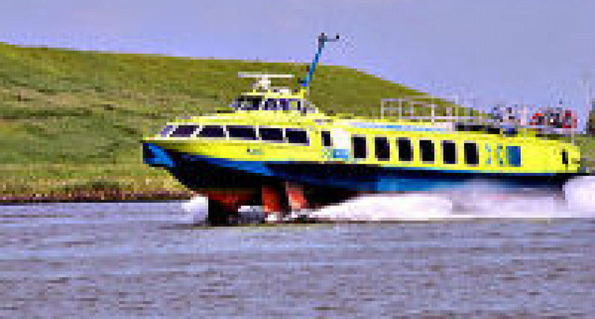 В Волгоградской области 430 домов остались без света из-за обрыва ЛЭП