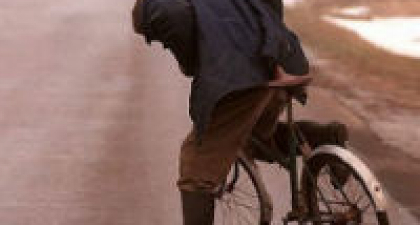 Под Волгоградом автоледи на «Ладе» сбила пьяного велосипедиста