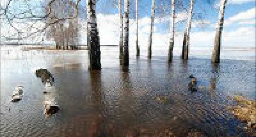 В Волго-Ахтубинской пойме установят временные плотины