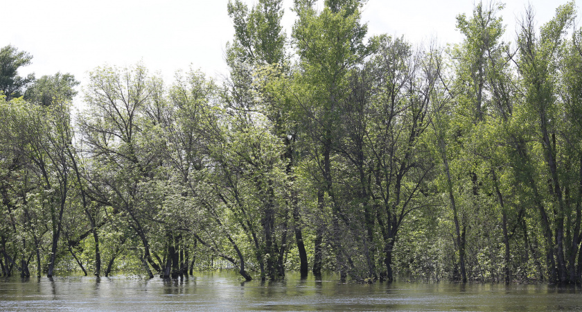 В Волгоградской области завершается сброс «большой воды»