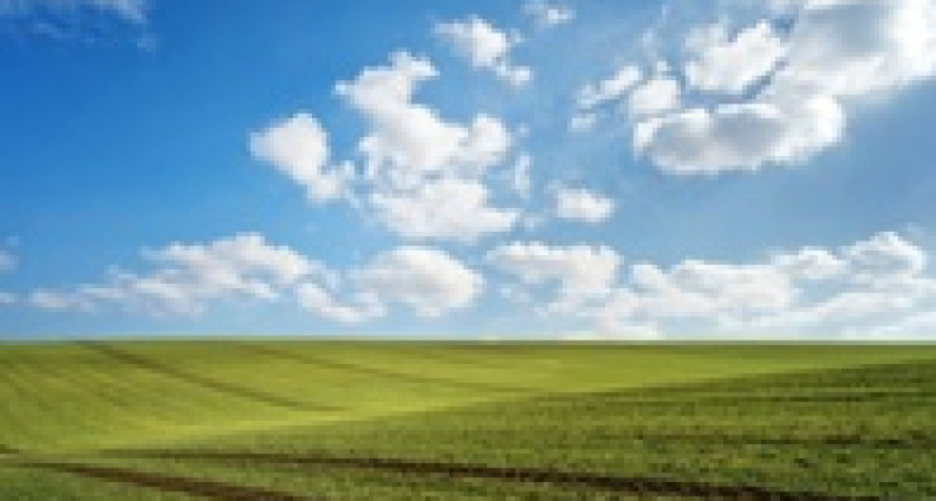 День поля «ВолгоградАГРО»